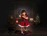Laden Sie das Bild in den Galerie-Viewer, Fox Vinyl Night Christmas Backdrop with Window Sky - Foxbackdrop