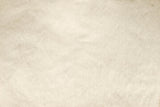 Laden Sie das Bild in den Galerie-Viewer, Fox Beige Abstract Portrait Vinyl Texture Photos Backdrop-Foxbackdrop