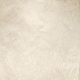 Laden Sie das Bild in den Galerie-Viewer, Fox Beige Abstract Portrait Vinyl Texture Photos Backdrop-Foxbackdrop