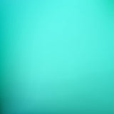 Laden Sie das Bild in den Galerie-Viewer, Fox Rolled Mint Green Abstract Photos Vinyl Backdrop-Foxbackdrop