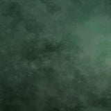 Laden Sie das Bild in den Galerie-Viewer, Fox Rolled Vinyl Abstract Green Portrait Backdrop-Foxbackdrop