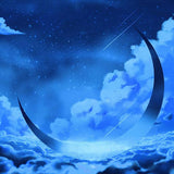 Laden Sie das Bild in den Galerie-Viewer, Fox Rolled Vinyl Blue Sky Moon Photography Backdrop-Foxbackdrop